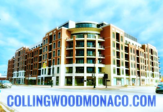 Monaco Condominium Collingwood